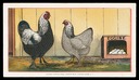 Clough's Bantam Yards