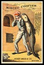 Henry Mayo & Company