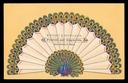 Knight & Howland ( peacock )