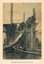 Sturgeon Fishing On The Volga River