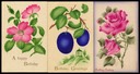 Airbrushed Postcards