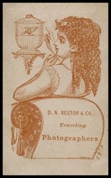 D. N. Bestor & Company