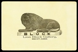 Lion Block Gallery