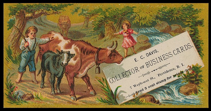 CollectorOfCards150