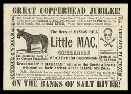 Great Copperhead Jubilee! On The Banks of Salt River!