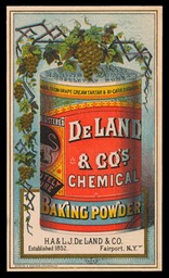 DeLandBakingPowder150