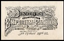 Mme Demorest's Emporium of Fashions