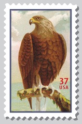 Golden Eagle