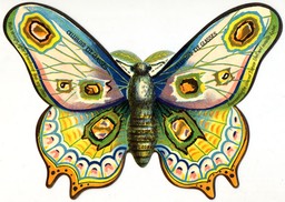 Spencer Optical Manufacturing Company / Celluloid Eyeglas Frames