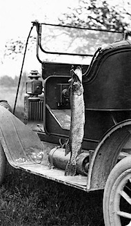 FishOnCar150