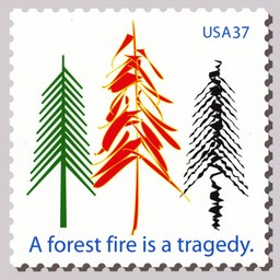 Prevent Forest Fires