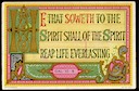 Bible Passage, Galatians VI: 8