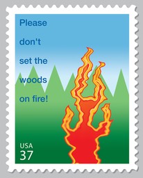 Forest Fires preliminary rough concept