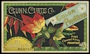 The Gunn, Curtis Company