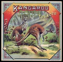 Kangaroo Tobacco