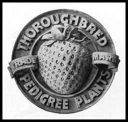 R. M. Kellogg Company