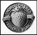 R. M. Kellogg Company
