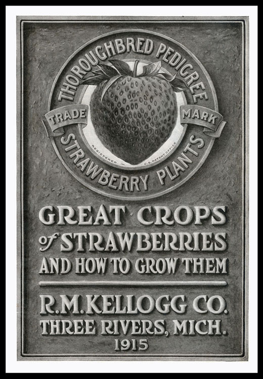 KelloggStrawb#1-150