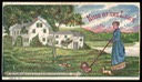 Gregg & Company / King Of The Lawn