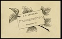 C. L. Leonard