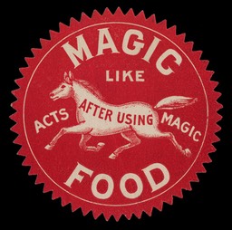 Magic Food