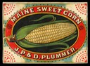J.P. & D. Plummer / Maine Sweet Corn