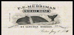 F. E. Merriman / Whale Bone