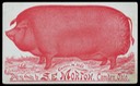 S. E. Morton & Company