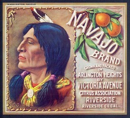 Navajo Brand