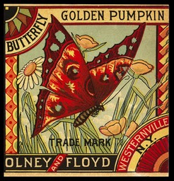 Olney & Floyd