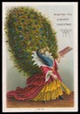 Knight & Howland ( peacock )