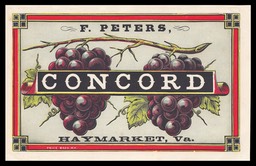 F. Peters Vineyard / Concord (grapes)