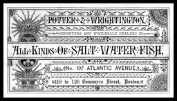 Potter & Wrightington