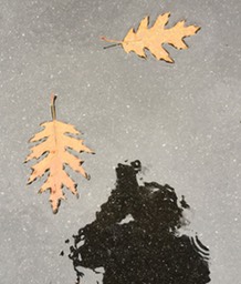 SelfPortraitWithLeaves150