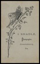 L. Shadle