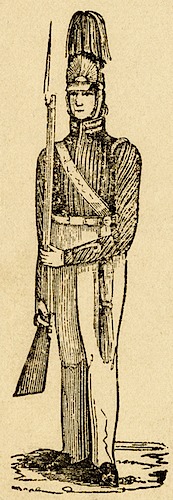 Soldier-musket