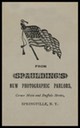 Spaulding