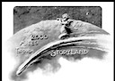 2,000 Miles Through Storyland