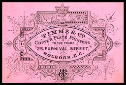 Timms & Company