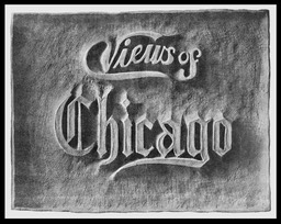 Views Of Chicago