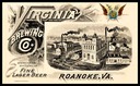 Virginia Brewing Company