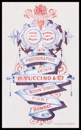 P. Vuccino & Company