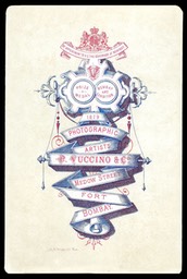 P. Vuccino & Company