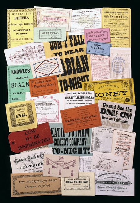 DoubleCowassemblage2