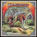 Kangaroo Tobacco