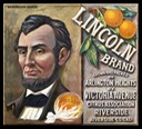 Lincoln Brand