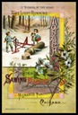 Monarch Manufacturing Company / Lightning Sawing Machine