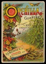 Orchilla Guano