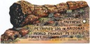 Petrified Forest (Arizona)