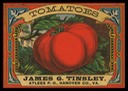 James G. Tinsley / Tomatoes
